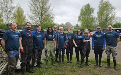 Volunteering at WWT London Wetland Centre