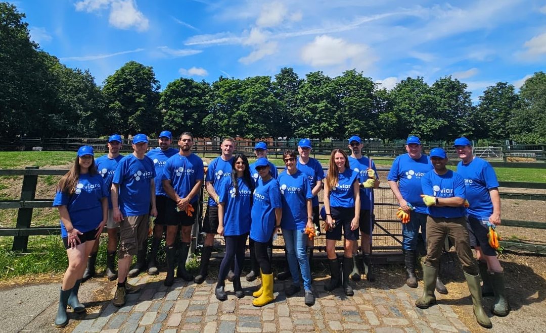Volunteering at Hackney City Farm