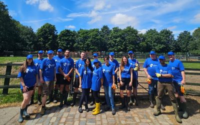 Volunteering at Hackney City Farm